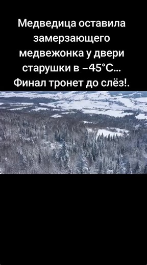 A mother bear left her freezing cub at an old woman's door in -45°C... The ending will move you to tears!