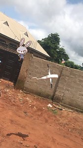 2.6M views · 10K reactions | #technology #flyingcar #reelsviralシ #evolution Kelechi Caleb Betty Rojas Kathleen Davies | Sochima Simon | Facebook