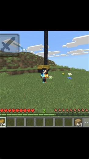 Bedrock vs Java minecraft