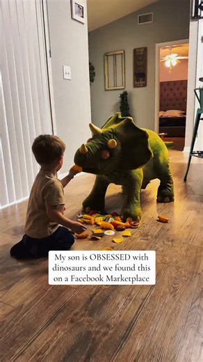 practical stuff on Instagram: "My mom found it, I am LOVING IT #kotadinosaur #dinosaur #foryoupage #fyp"