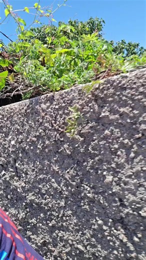 Some people too weird man 🤨 #fyp 🙏🙏🙏🙏🙏🙏🙏🙏🙏🙏🙏🙏