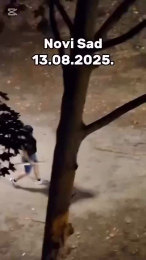 Nevena Subotic on Reels