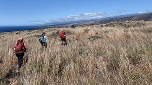 Volcano Watch: Searching for tephra from one of Kīlauea’s largest explosive eruptions | Big Island Now