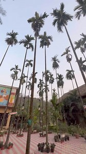 4.6K views · 136 reactions | Many of the resorts and retreats in Assam offer you a variety of experiences ranging from eco-tourism to adventure tourism. (Video location: Panacea the Village, an eco-adventure tourism resort) #AwesomeAssam #Panacea #EcoAdventureTourism #Tourism #AssamTourism #EcoTourism #AdventureTourism | Awesome Assam | Facebook