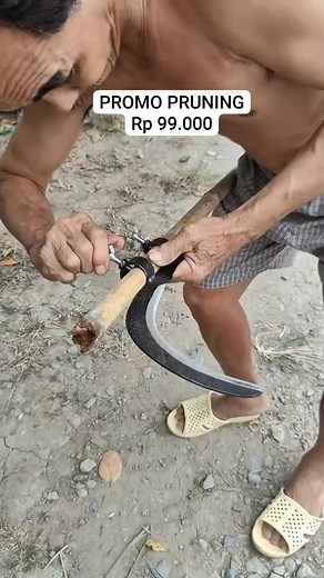 7.7K views · 1.1K reactions | Waktu adalah uang! Jangan buang waktu dan tenaga Anda dengan alat panen yang tumpul dan berat. Kenalkan Sabit Pruning & Penuai Kelapa Sawit GROTI! ORDER KLIK https://iplar.myscalev.com/sabit-penuai-kelapa-balu https://iplar.myscalev.com/sabit-penuai-kelapa-balu https://iplar.myscalev.com/sabit-penuai-kelapa-balu | Eksakta Center | Facebook