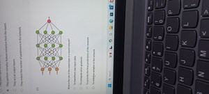 They perform complex feature extraction from the inputs.They a... | Filo