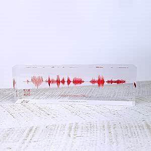 Artblox Soundwave Art With Scannable Qr Code Any Video Voice Recording Baby Heartbeat Or Song To Acrylic Glass Spotify Plaque Cool Mothers Day Customized Gifts For Wife Girlfriend Sound Card