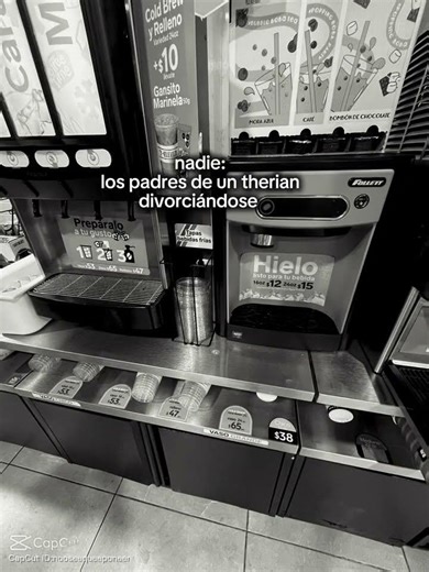 NO ME FUNEN !!! 🗣️🔥 #straykids #therians