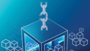 Ten years to the bitcoin block: Has blockchain gone bad? | Digit