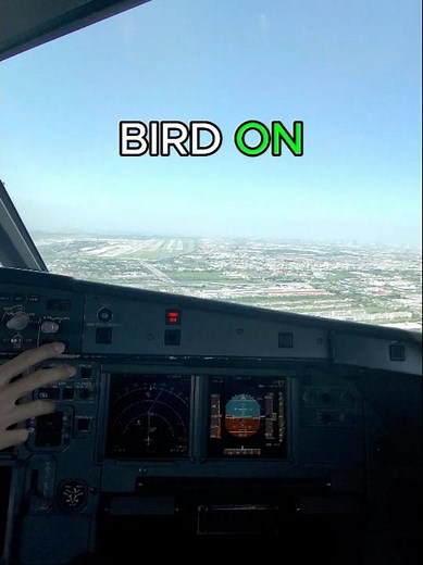 Airbus 321 arriving into Suvarnabhumi Airport #pov #aviation #msfs2020 #landing #pilot #airplane