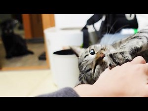 見えているぞ！