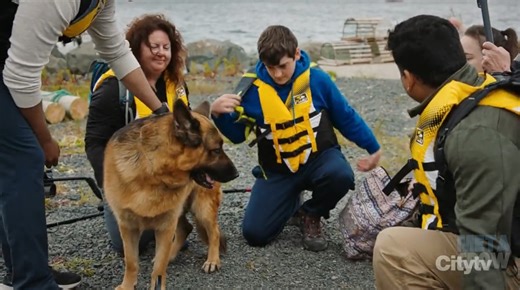 120K views · 1.1K reactions | Rex Didn’t React to the Noise—Until the Lights Flickered Part 1 #hudsonandrex #viral #tvshows #USAToday | RemmoLend | Facebook