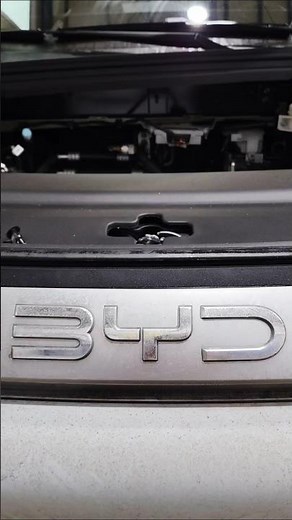 BYD ATTO 3 비와이디 아토3 순정스프링 제원측정 #스프링맨 #BYD #아토3 #ATTO3
