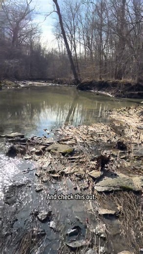 Collins Country on Instagram: "Hiking on Christmas Eve in Kentucky?!? How was it 65 today?!?!?!? Kentucky weather makes no sense! The high in Thanksgiving was 30 degrees but today it’s 65! We thought for sure we would have a white Christmas this year since we’ve already gotten snow multiple times in November and December. Oh well. We enjoyed being outside most of the day and hiking for hours! ❤️ #hiking #christmas #farmlife #kentucky #nature"