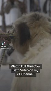 50K views · 2.8K reactions | Watch the full Poppy & Petunia Bath Video on my YT Channel! Link is in the comments! | Katie Van Slyke | Facebook