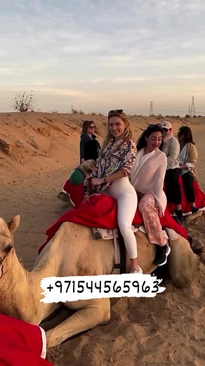 105K views · 5.4K reactions | Camel rides are a unique way to explore...