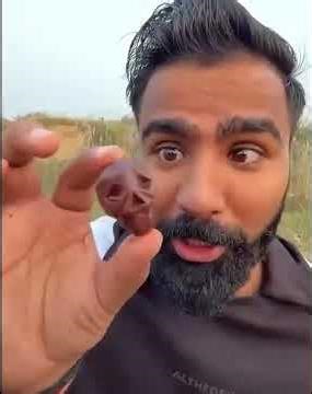 New Hottest Chilli Challenge #shorts #challenge #chile #funny #jolochips #nikku