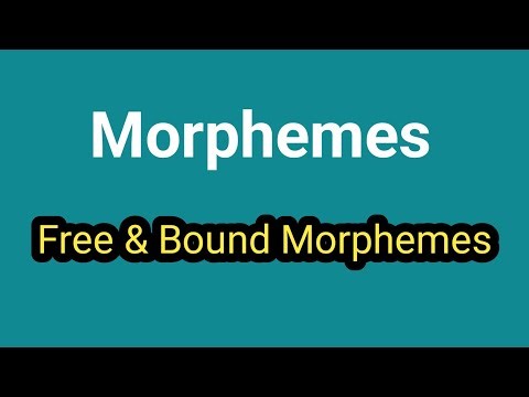 What is morpheme? Bound and free Morpheme | Free and Bound Morpheme