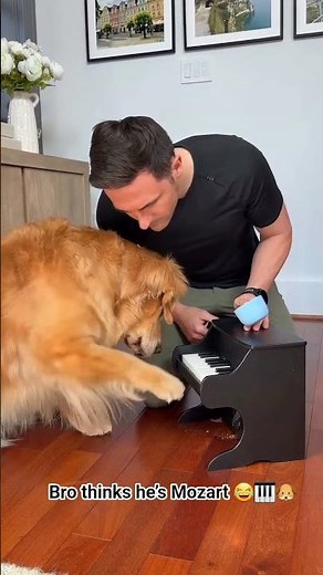 The Funniest Animal Videos Of The Decade 😹
