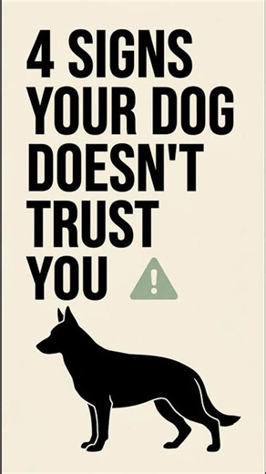 4 Signs Your Dog Doesn't Trust You Yet #dogbehavior #dogtraining