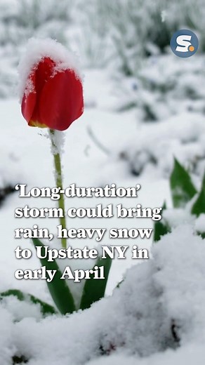 8.3K views · 41 reactions | Don't put away the shovels just yet, Central NY. Read the latest weather news: https://l.syracuse.com/JODMkX | syracuse.com | Facebook