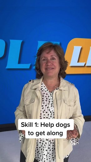 Skill 1: Getting dogs to get along #interdogaggression #dogsfighting #dogsdontgetalong