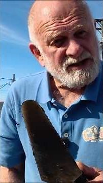 How to patch a Leaky Torch-Down rubber roof - Roll roofing patch #roofinginnovation #construction