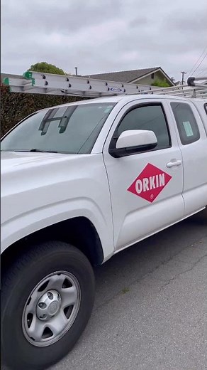 Learn about Orkin home inspections and home renovations with ‪@LizLovery‬ | Orkin