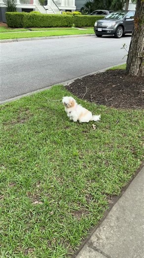 Madison LeCroy (@madison_lecroy)’s videos with original sound - TheKentuckyKidd