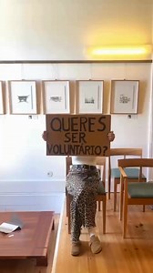 62K views · 82 reactions | Alerta: Convocatória Voluntariado – Open...