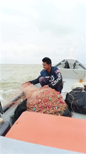 Exploring Deep Sea Shrimp Fishing Techniques