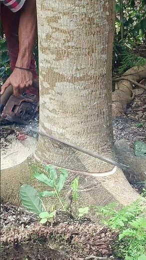 Cutting down tree skill