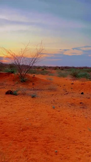 Shutter Bidare Wedding Comedy Compilation