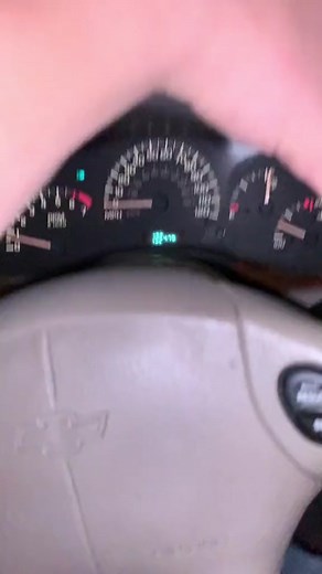 Creepy Encounters with Paranormal Dogs