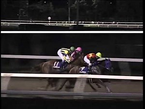 2003 帝王賞（ネームヴァリュー）