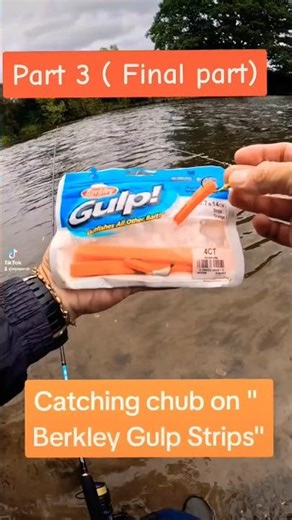 Putting the Berkley Gulp strips to the Test ( with results 😱) #fishingmethods #how #fish #fishing