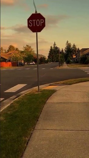 Exploring Real American Village Vibes 🇺🇸 | Washington Diaries | Chill Reels Edition