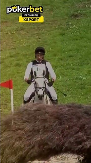 Кінний спорт зачаровує 😍