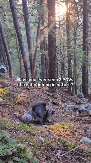 4.1K views · 16 comments | Is this the most unnecessary multi camera...