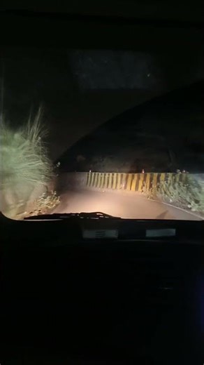 ik saal ❤️ #trending