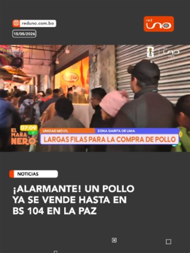 En la zona Garita de Lima, en La Paz, el precio del pollo sigue en aumento. La unidad ya se vende hasta en Bs 104. ▶️ Más información en www.reduno.com.bo #RedUno #RedUnoDigital #Notivisión #Pollo #Bloqueos