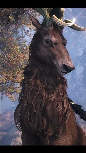 I Met Garron Rood and Learned the Secrets of SoulFrame!