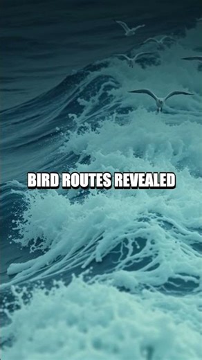 Coastline Compass: Lessons from the Blue Edge