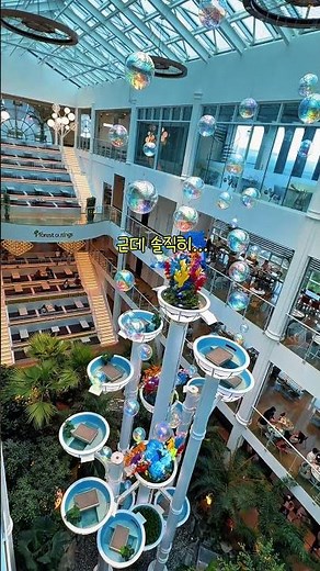 포레스트아웃팅스 용인점｜여름 시즌 바뀐 용인대형카페 솔직후기🌿