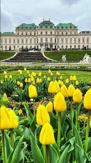 Belvedere Palace, Vienna 🇦🇹 – Baroque Beauty in Austria ✨