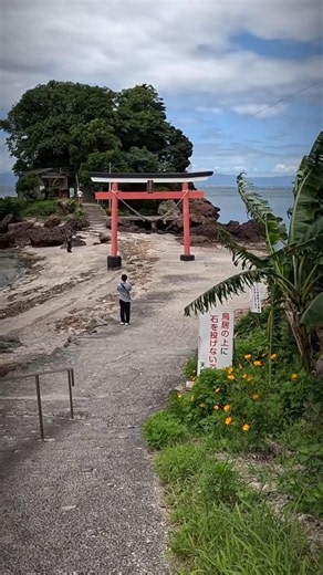 Arahira Tenjin Seaside Shrine ⛩️ | Sugawara Shrine, Kagoshima #Shorts