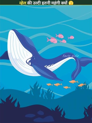 Why is whale vomit so expensive 😱 #shorts #whale #facts