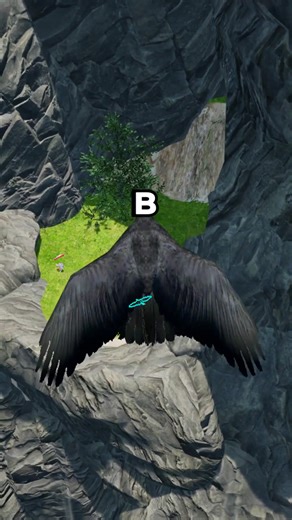 Birds of War (@birdsofwargame)’s videos with original sound - Birds of War