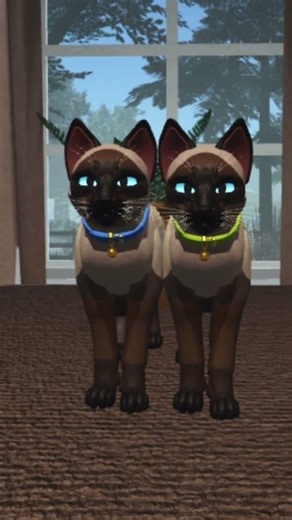 we r siamese#wcue#cats#warriorcats#roblox#warriorcatsultimatedition#siamese