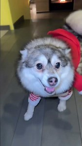 Предновогодний семейный корпаратив ￼